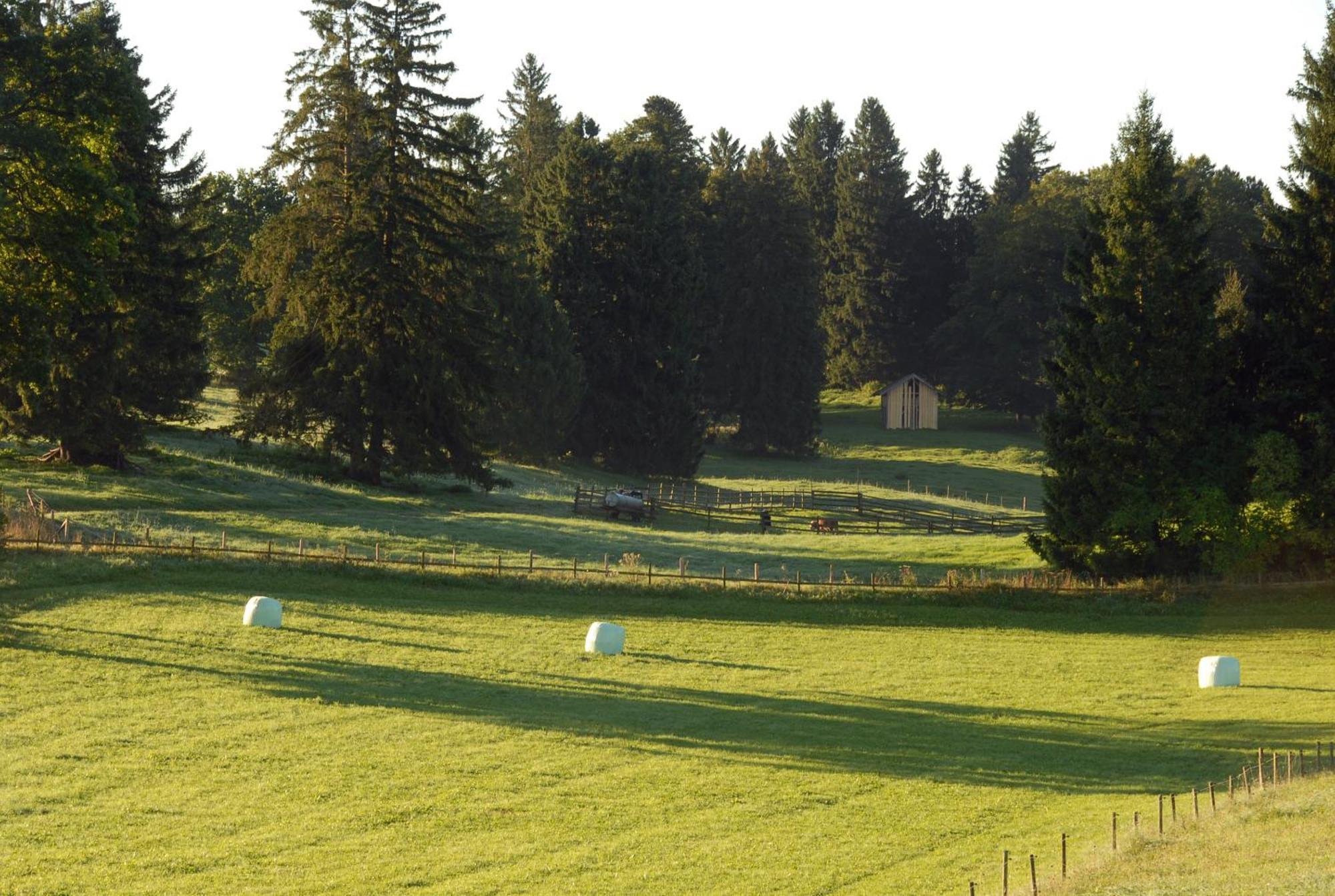 Hotel Zweilindenhof Seeshaupt Zewnętrze zdjęcie