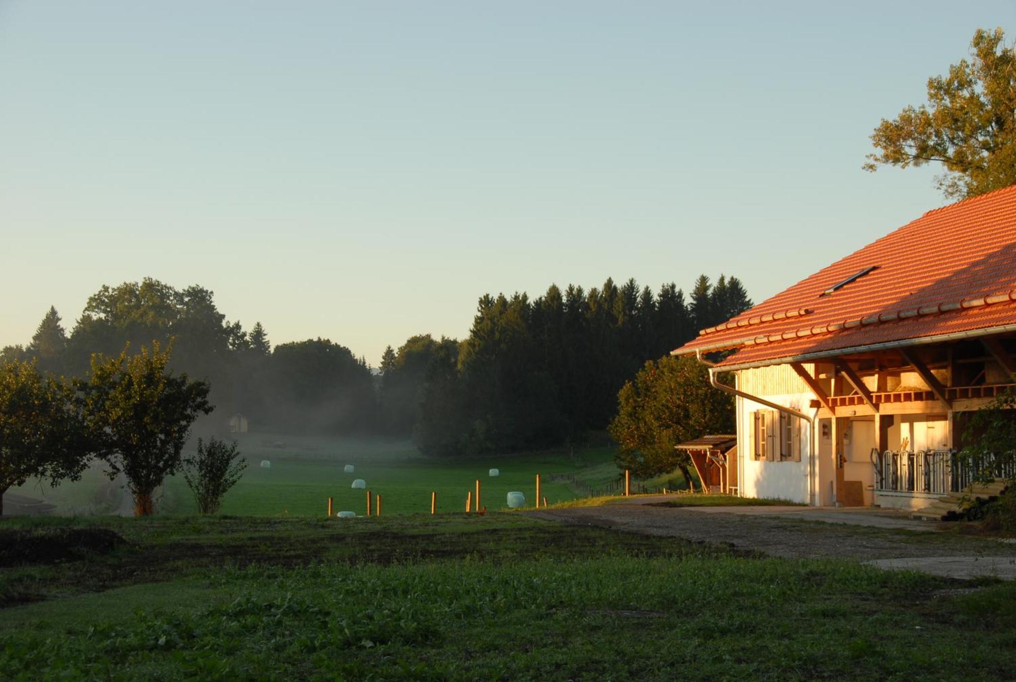 Hotel Zweilindenhof Seeshaupt Zewnętrze zdjęcie