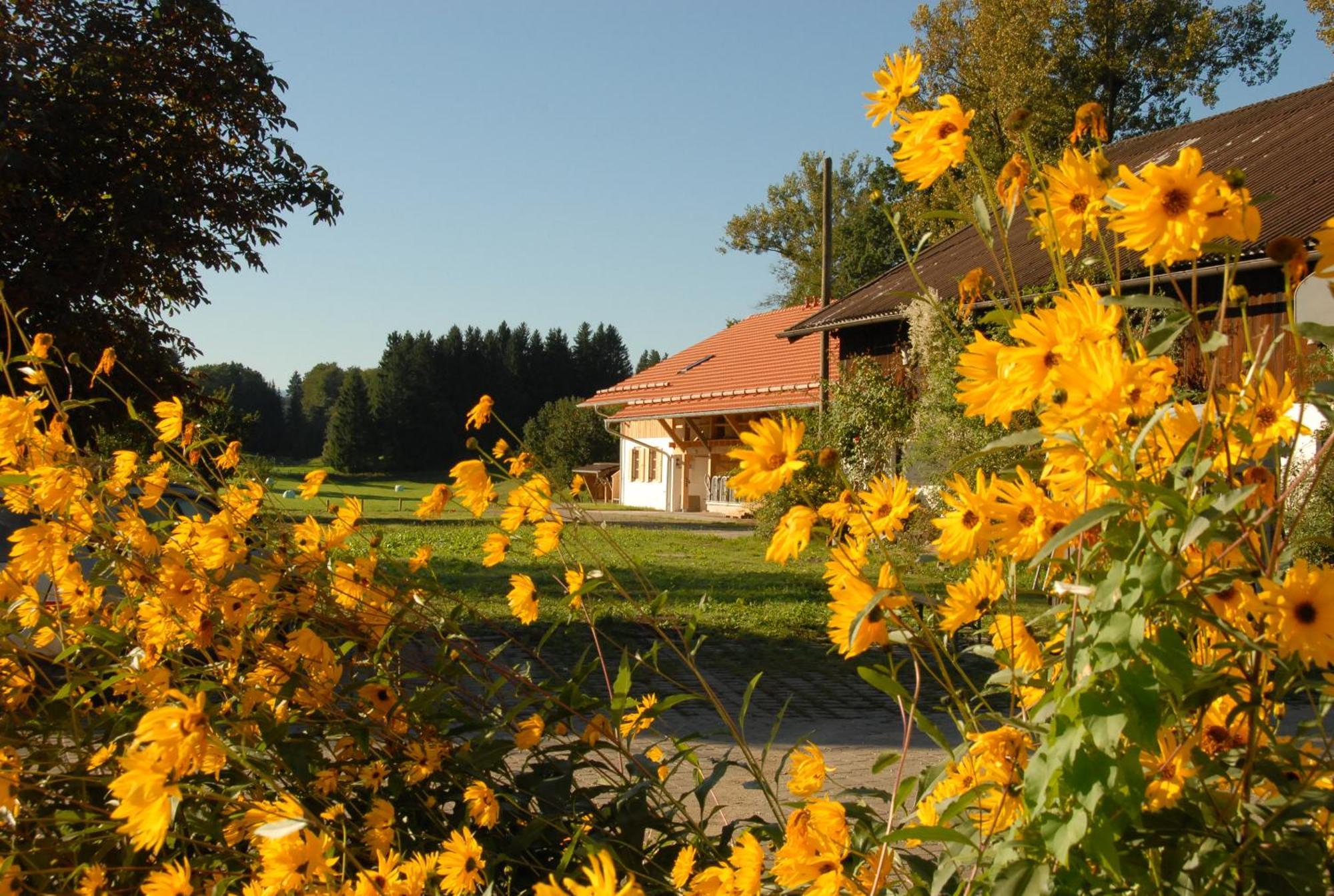 Hotel Zweilindenhof Seeshaupt Zewnętrze zdjęcie